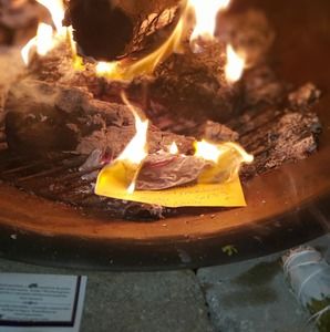 Meet your Posher, Tanya